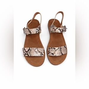 •	Chic Snake Print Flat Sandals – Size